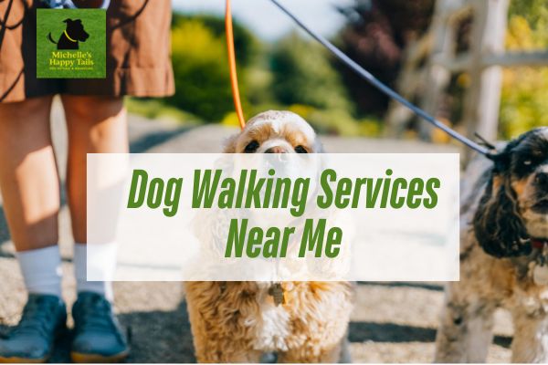 Dog Walking Services Near Me