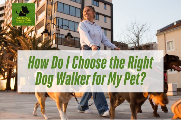 How Do I Choose the Right Dog Walker for My Pet?