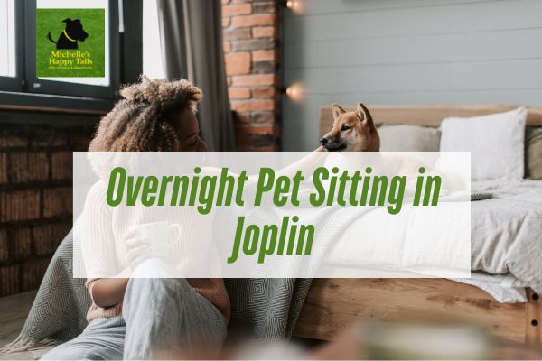Overnight Pet Sitting in Joplin
