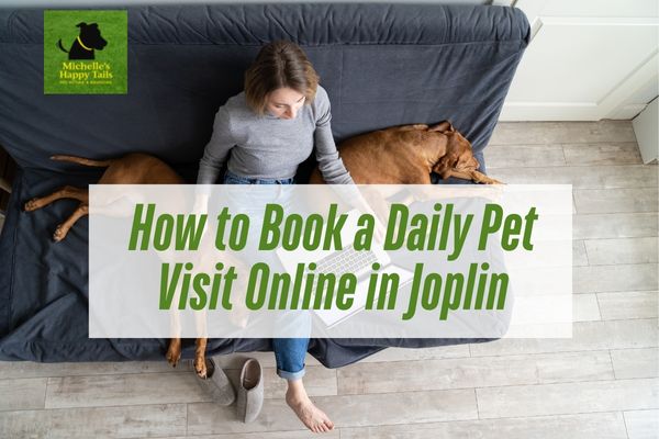 How to Book a Daily Pet Visit Online