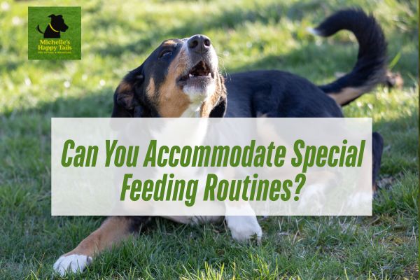 Can You Handle Behavioral Accommodations?