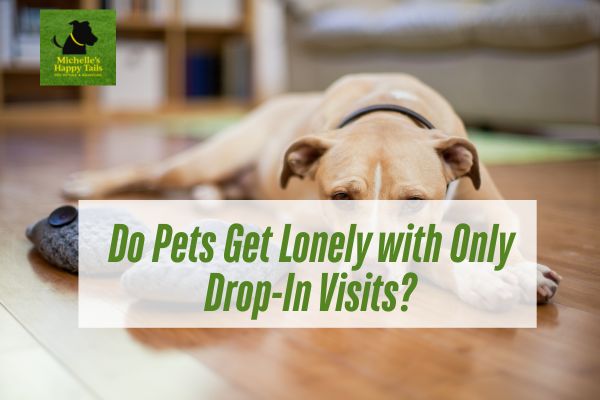 Do Pets Get Lonely with Only Drop-In Visits?