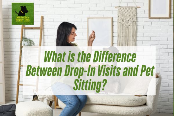 What is the Difference Between Drop-In Visits and Pet Sitting?