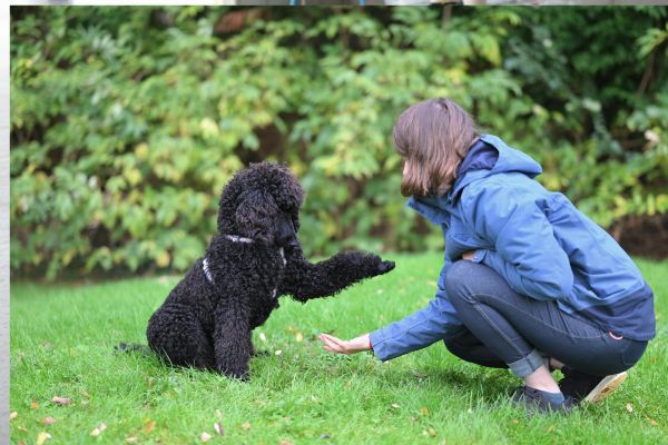 What does a daily visit include ?