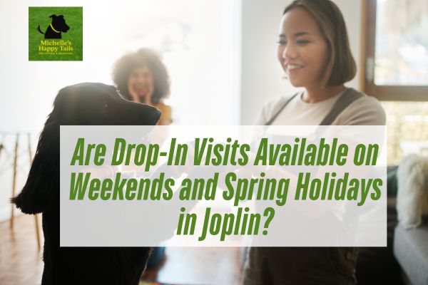 Are Drop-In Visits Available on Weekends and Spring Holidays in Joplin?