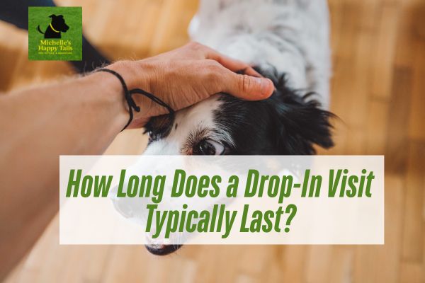 How Long Does a Drop-In Visit Typically Last?