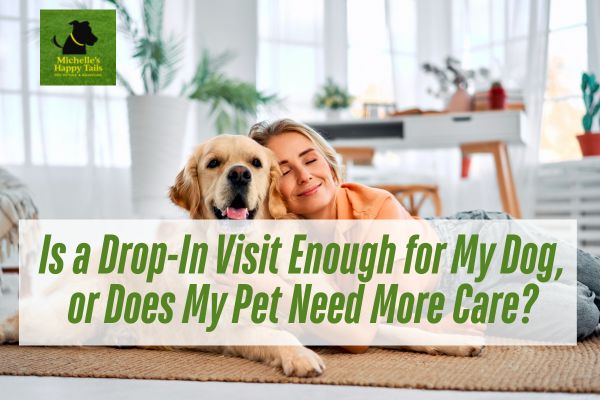 Is a Drop-In Visit Enough for My Dog, or Does My Pet Need More Care?